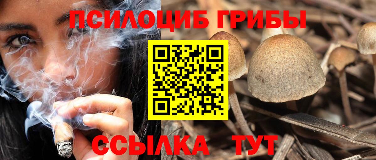 Галлюциногенные грибы GOLDEN TEACHER  Вход с VPN  Лобня 
