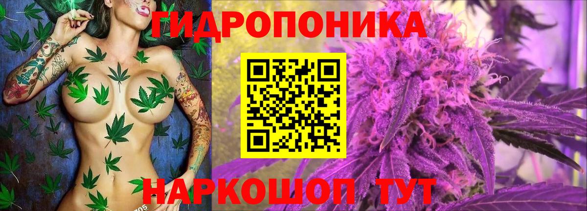 Бошки Шишки тримм  Каннабис THC 21%  Вход с VPN  Марихуана сатива  Лобня  Канабис марихуана 